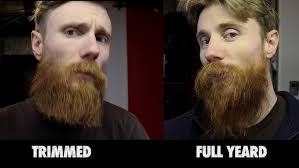 Trimming a Year Old Beard