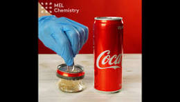 Plastic Inside Your Soda and Beer Can? — League of Women ...