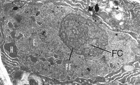 Maybe you would like to learn more about one of these? Cell Nucleus