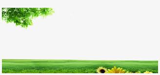 Ultra hd 4k wallpapers for desktop, laptop, apple, android mobile phones, tablets in high quality hd, 4k uhd, 5k, 8k uhd resolutions for free download. Lawn Energy Grassland Nature Wallpaper Png Background Nature Vector Png Image Transparent Png Free Download On Seekpng