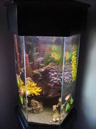20 Gallon Hexagon Aquarium How To Buy 20 Gallon Long Aquarium House Decorating Designs 20 Gallon Long Aquarium Aquarium Fish Tank Stand