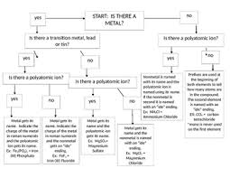 nomenclature flow chart editable