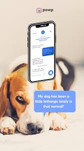 We did not find results for: Pawp Clinic Talk To A Vet 24 7 Get 3 000 In An Emergency Pet Wellness Vets Pet Advice