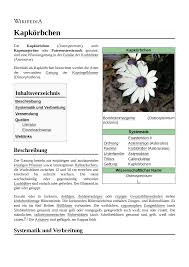 Image result for Osteospermum monocephalum