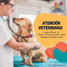 Clínica Veterinaria Mascotas Ayekan