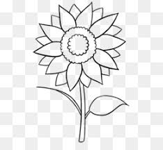 Ribuan gambar baru setiap hari sepenuhnya gratis untuk digunakan video dan gambar berkualitas tinggi dari pexels. 15 Trend Terbaru Sketsa Bunga Matahari Dan Kupu Kupu Asiabateav