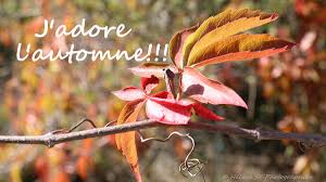 RÃ©sultat de recherche d'images pour "photos d'automne gratuites"