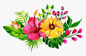 Download free flower png with transparent background. Watercolour Tropical Flower Free Hd Png Download Kindpng