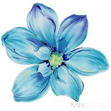 Pin By Khan On Flower Blue Flower Painting Metal Art Prints Watercolor Flowers