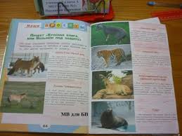 готовый проект красная книга или возьмем под защиту 2 класс Proekt Krasnaya Kniga Ili Vozmyom Pod Zashitu Dlya Detej Gde Najti