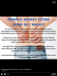 Kidney Stones Essential Oils Kidney Stones Essential Oils Kidney Kidney Stone Relief