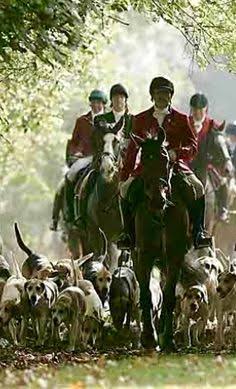 Discover 10 Hunting and fox hunting in winter ideas | fox hunt, english hunting, fox hunting nature scene and more