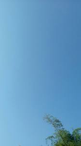 Daun lampu awan matahari langit gelap sinar ungu biru. Tuhhh Langit Biru Membiruuuu Langit Biru Fotografi Langit Langit