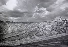 Image result for Euploca katangensis