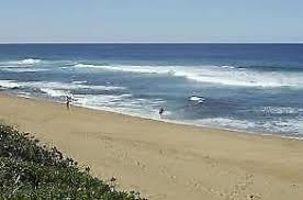 3 X Garden Services For Sale Margate Kzn South Coast Junk Mail