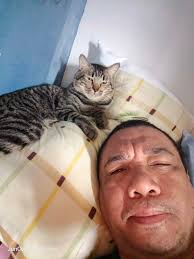 HOW COULD A CATS LOVE IN THEIR HEART NOT CHANGE YOUR LIFE