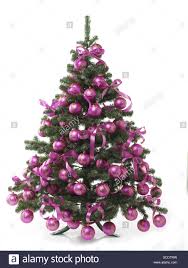 O tannenbaum is a german christmas song. Weihnachtsbaum Stillleben Weihnachten Weihnachten Baum Dekoriert Weihnachtsbaum Kugel Baum Schmuck Kordeln Schleifen Dekoration Ebene Rosa Pink Weihnachtsbaum Weihnachten Ornamental Yule Flut X Mas Studio Ausschneiden