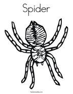Push pack to pdf button and download pdf coloring book for free. Spider Coloring Pages Twisty Noodle