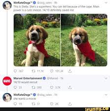 Th151s S Eha She S A Superhero Vou An Ten Bemuse Ofthe Ape Mam Power 15 A Cute Sneeze 14 10 Deﬁnue1y Saved Me Ifunny Cute Animals Cute Little Animals Cute Animal Photos