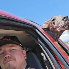 A tradition with rural Florida hog hunters. When a dog is killed in the  process of catching a hog they are mounted together, forever locked in  battle.￼