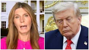 Thieves swipe catalytic converter from shuttle owner's bus