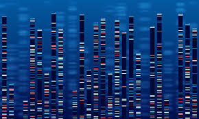 dna data chart medicine test graphic abstract genome