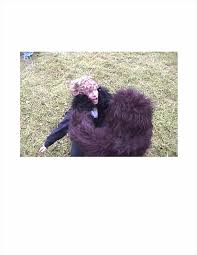 Suburban Sasquatch With Special Features (double disc edition) –  Independent Z Grade movie making studio