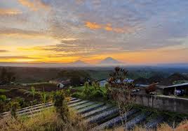 Rumah hobbit paraland resort : Pondok Plantation Colonial Style Villa With Breathtaking Views Baturiti Bedugul