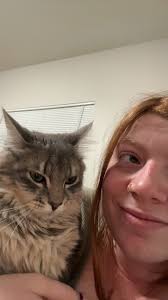 MISSING MISSING !!!!! MISSING SINCE Monday November 3 @ about or after 3-4  pm ! Was confirmed found