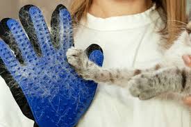 Bathe the pets with this glove, which will clean the pet hair easily and give your pets a gentle massage without hurting their skin; The 25 Best Cat Grooming And Deshedding Gloves Of 2020 Cat Life Today