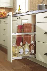 cabinet organization & interiors