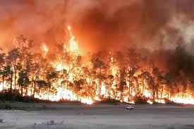 Emergency Warnings Remain In Place Throughout Western Australia As The State Continues To Battle Bushfires Western Australia Wild Fire Australia