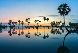 An Giang Images – Browse 11,082 Stock ...