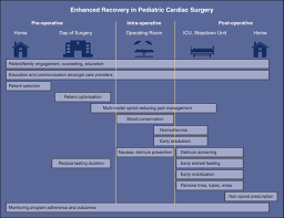 Lawf2 neurons and also between tm1/tm2/tm4/cluster 62. The American Association For Thoracic Surgery Congenital Cardiac Surgery Working Group 2021 Consensus Document On A Comprehensive Perioperative Approach To Enhanced Recovery After Pediatric Cardiac Surgery The Journal Of Thoracic And