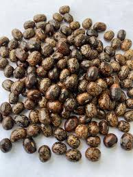 Image result for Sphenostylis