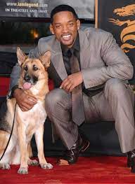 I Am Legend Will Smith Neville And Dog Samantha At Premiere In Real Life