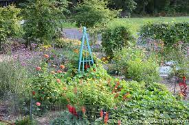 With this vegetable garden layout, you have a square for each vegetable you grow. Creative Vegetable Gardener How To Use Flowers For A More Colorful Vegetable Garden Creative Vegetable Gardener