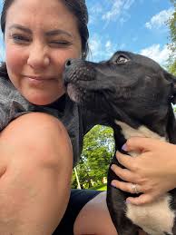 Found lost white female pit bull in Techridge area