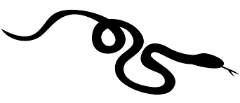 There are about 2,900 species of snakes. Free Snake 1208884 Png With Transparent Background