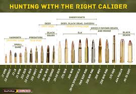 Big Game Calibers Cartridge Chart Centerfire Pistol Bullet