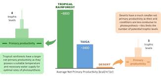 Ecosystem Analysis Bioninja