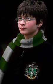 Slytherin house pride and affiliations in Harry Potter