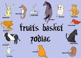 What would be the easiest thing to give up? If You Here A Member Of The Zodiac What Animal Would You Be Fruits Basket Fanpop