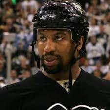 The 55 Best Black Hockey Players, Ranked By Fans