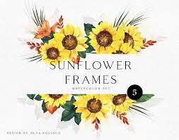 15 watercolor flowers (png transparent) vol. Watercolor Sunflower Frame Clipart Boho Sunflower Bouquet Watercolor Autumn In Illustrations On Yellow Images Creative Store