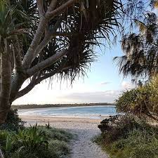 Exploring The World Heritage Rainforest Around Iluka Yesterday The Path Popped Me Out Here At Beautiful Bluff Beach These Past Few Days I Ve Been Helping And