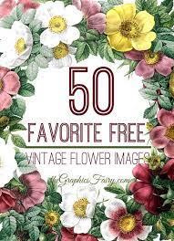 Print out these flowers coloring sheets and use them for your children's craft works. 50 Favorite Free Vintage Flower Images The Graphics Fairy