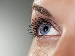 Macys.com has been visited by 1m+ users in the past month Optometry Office Hometown Eye Care United States