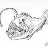 Angler fish colouring pages (page 2). 1