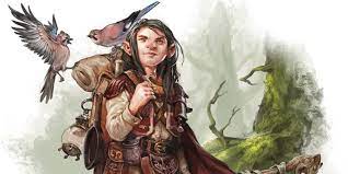 How To Build Dnd's Most Powerful Druid